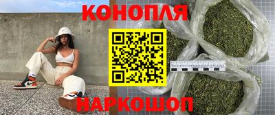 стаф Будённовск