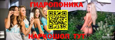 стаф Будённовск