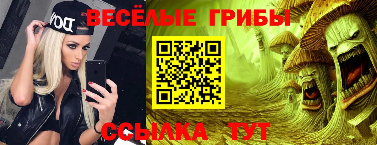 Псилоцибиновые грибы мицелий  Дзержинск 