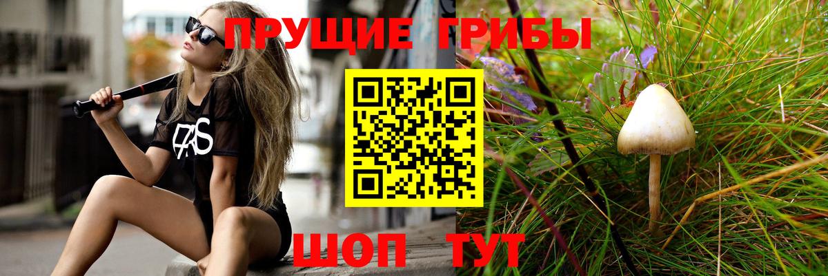 Псилоцибиновые грибы Cubensis  Вход с VPN  Дзержинск 